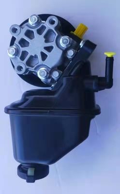 95048324 448188303 135811202 Power Steering Pump Untuk 2006-2011 Chevrolet Captiva Dengan 1