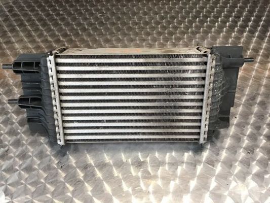 Nomor referensi 8095055 Inter Cooler Assy untuk Nissan Juke 1.6L I4 AT TBO 2016 14461-1KB2A