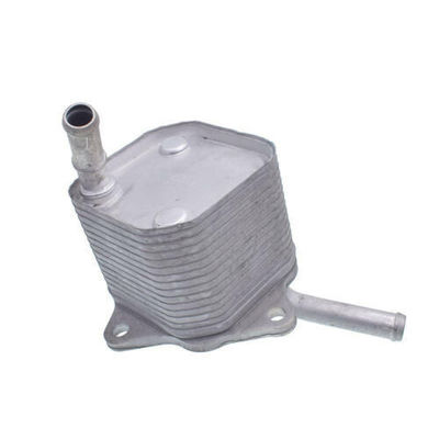 Set pendingin minyak mesin untuk Toyota Hilux Revo 1GD 2GD 15071-0E010 Referensi NO. 8095055